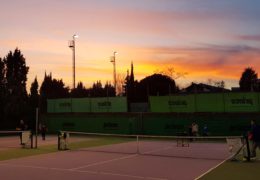 Collective Tennis School