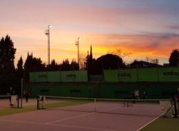 Collective Tennis School