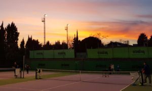 Collective Tennis School