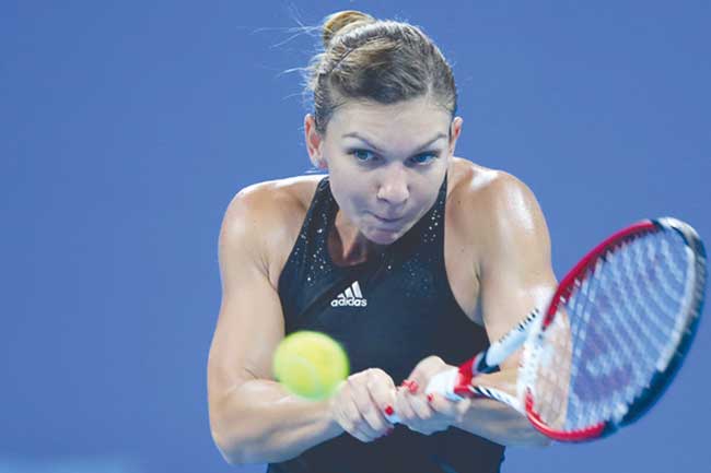 Simona Halep Hires Thomas Hogstedt as Coaching Consultant