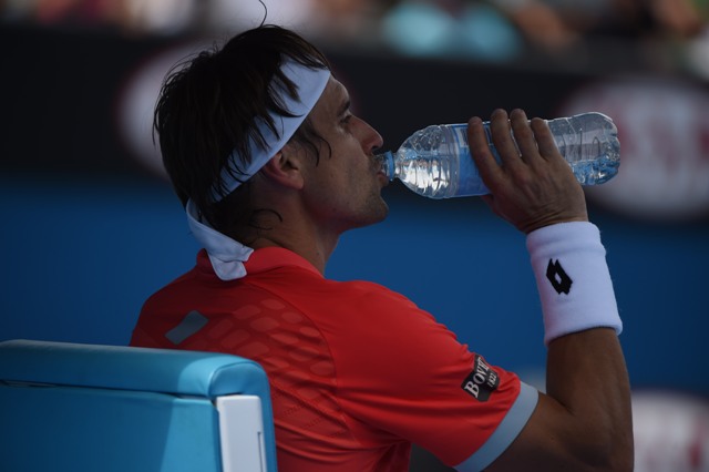 David Ferrer vs Gilles Simon Preview – Australian Open 2015 Round 3