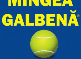 Mingea Galbenă – Şcoala de Tenis