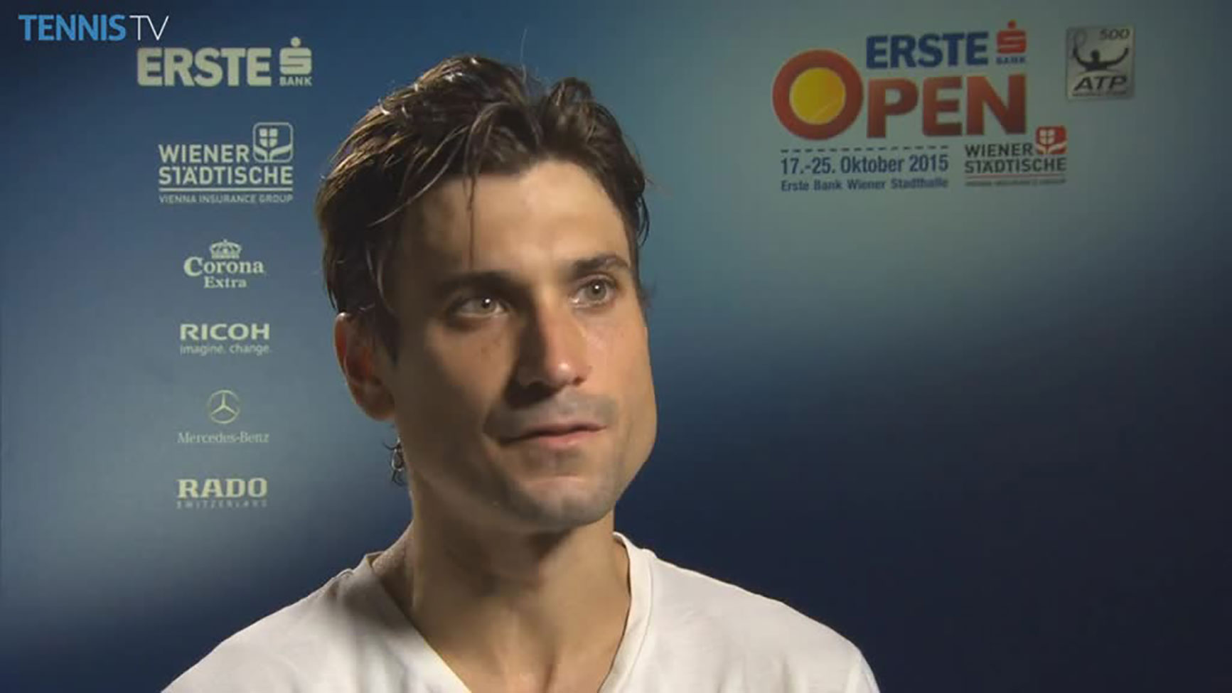 Top Seed Ferrer Advances In Vienna